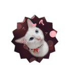 青い目きたろう（個別スタンプ：3）