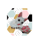 青い目きたろう（個別スタンプ：6）