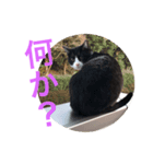 十夢君スタンプ（個別スタンプ：8）