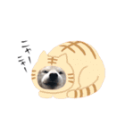 犬の名前はカイです！（個別スタンプ：17）
