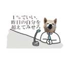 犬の名前はカイです！（個別スタンプ：33）