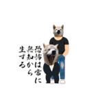 犬の名前はカイです！（個別スタンプ：35）