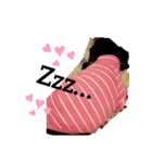 しょうくんだよ♡（個別スタンプ：1）