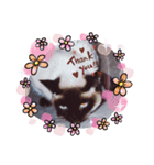 しょうくんだよ♡（個別スタンプ：4）