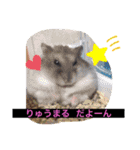 【公式】目もと口もと 橋本スタンプ（個別スタンプ：16）