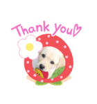 ぷりDog（個別スタンプ：1）
