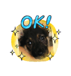 ぷりDog（個別スタンプ：2）
