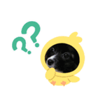 ぷりDog（個別スタンプ：5）