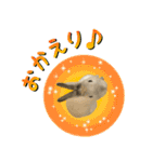 もふもふなうさぎ（もふうさ）（個別スタンプ：8）