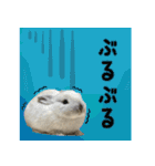 もふもふなうさぎ（もふうさ）（個別スタンプ：9）