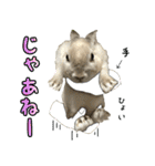 もふもふなうさぎ（もふうさ）（個別スタンプ：12）