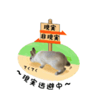 もふもふなうさぎ（もふうさ）（個別スタンプ：22）