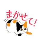 大集合！猫も色々。★日常ことば（個別スタンプ：2）