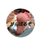 himanahimana（個別スタンプ：32）