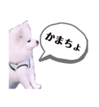 酒乱スタンプその2（個別スタンプ：6）
