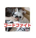 ブチコロスタンプ No.2（個別スタンプ：19）