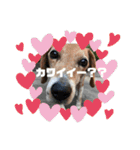 辻一族（個別スタンプ：2）