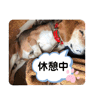 辻一族（個別スタンプ：14）