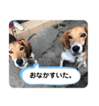 辻一族（個別スタンプ：24）