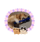 愉快な怜央12（個別スタンプ：2）
