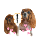 チャーリーとニコ（個別スタンプ：4）