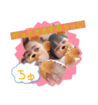 りゅうせり専用（個別スタンプ：12）