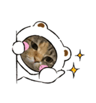 ウチのむーたん 2（個別スタンプ：2）