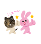 ウチのむーたん 2（個別スタンプ：3）