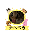 ウチのむーたん 2（個別スタンプ：8）
