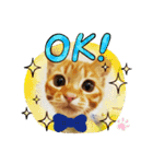 CHAKEPON（個別スタンプ：15）