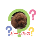 The Don_2（個別スタンプ：3）