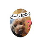 The Don_2（個別スタンプ：4）
