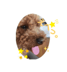 The Don_2（個別スタンプ：7）