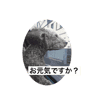 The Don_2（個別スタンプ：8）
