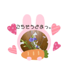 みーきょスタンプ4（個別スタンプ：1）