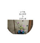 みーきょスタンプ4（個別スタンプ：2）