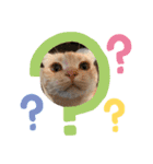 三浦家の猫（個別スタンプ：1）
