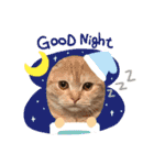 三浦家の猫（個別スタンプ：8）