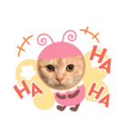 三浦家の猫（個別スタンプ：16）