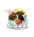 ちびるるちゃん♡♡（個別スタンプ：1）