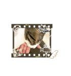 ちびるるちゃん♡♡（個別スタンプ：4）