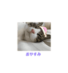 ちびるるちゃん♡♡（個別スタンプ：12）