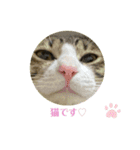 ちびるるちゃん♡♡（個別スタンプ：14）
