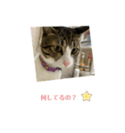 ちびるるちゃん♡♡（個別スタンプ：15）