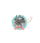 ちびるるちゃん♡♡（個別スタンプ：16）