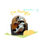 にゃん吉の朝（個別スタンプ：3）