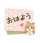 メッセージカード☆猫たちのスタンプ（個別スタンプ：1）