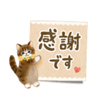 メッセージカード☆猫たちのスタンプ（個別スタンプ：12）