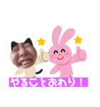 はーちゃんイケイケ冒険譚（個別スタンプ：6）