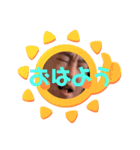 はーちゃんイケイケ冒険譚（個別スタンプ：7）
